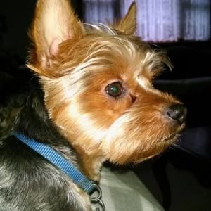 Meet your Posher, Debra